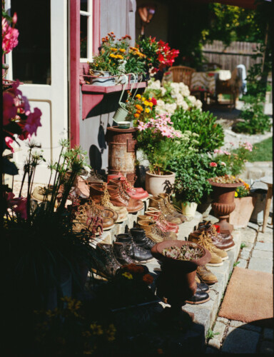 Red Wing Final bilder 60